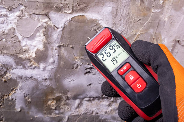 Best Crawl Space Mold Removal  in Groves, TX