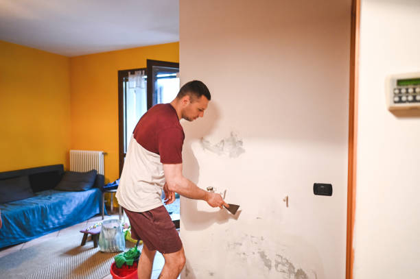 Best Crawl Space Mold Removal  in Groves, TX